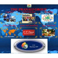 The Pranali Group logo, The Pranali Group contact details