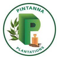 Pintanna Plantations Pvt Ltd logo, Pintanna Plantations Pvt Ltd contact details