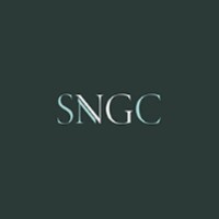 SNG Consultant logo, SNG Consultant contact details