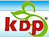 KDP INFRASTUCTURE PVT. LTD logo, KDP INFRASTUCTURE PVT. LTD contact details