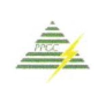 PPN Power Generating Company Private Limited logo, PPN Power Generating Company Private Limited contact details