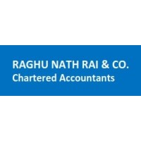 Raghu Nath Rai & Co. Chartered Accountants logo, Raghu Nath Rai & Co. Chartered Accountants contact details