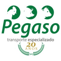 Fletera Pegaso logo, Fletera Pegaso contact details