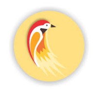 sparrow softwares logo, sparrow softwares contact details