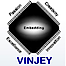 Vinjey Software System logo, Vinjey Software System contact details