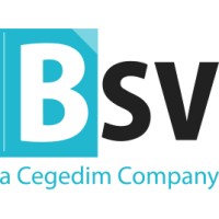 BSV logo, BSV contact details