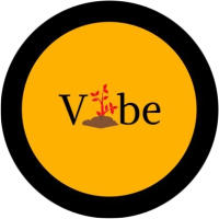 Vibe Indian logo, Vibe Indian contact details