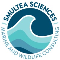 SmulteaSciences logo, SmulteaSciences contact details