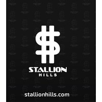 Stallion Hills Real Estate logo, Stallion Hills Real Estate contact details