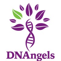 DNAngels.Org logo, DNAngels.Org contact details