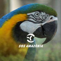 SOS Amazônia logo, SOS Amazônia contact details