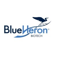 Blue Heron Biotechnology logo, Blue Heron Biotechnology contact details