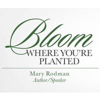 Mary Rodman logo, Mary Rodman contact details