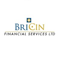 Bricin Financial Services Ltd. logo, Bricin Financial Services Ltd. contact details