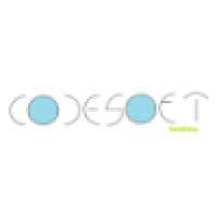 CodeSoft Solutions logo, CodeSoft Solutions contact details