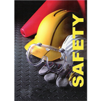 SafetyWins.com logo, SafetyWins.com contact details