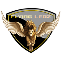 Flying Leoz Media Pvt. Ltd logo, Flying Leoz Media Pvt. Ltd contact details