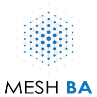 MeshBA Solutions LLP logo, MeshBA Solutions LLP contact details