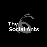 The Social Ants logo, The Social Ants contact details