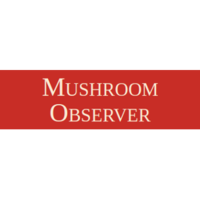 Mushroom Observer, Inc. logo, Mushroom Observer, Inc. contact details