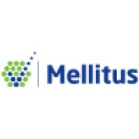 Mellitus, LLC logo, Mellitus, LLC contact details