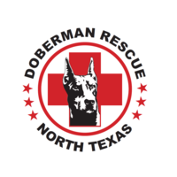 Doberman Rescue of North Texas logo, Doberman Rescue of North Texas contact details