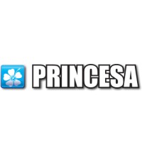 Princesa Do Norte logo, Princesa Do Norte contact details