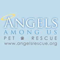 Angels Among Us Pet Rescue logo, Angels Among Us Pet Rescue contact details