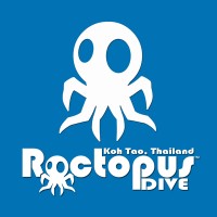 Roctopus Dive logo, Roctopus Dive contact details