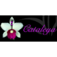 CATALEYA Intimamente Bella S.A.C logo, CATALEYA Intimamente Bella S.A.C contact details