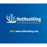 NetHostKing logo, NetHostKing contact details