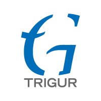 Trigur Electronics India Pvt. Ltd. logo, Trigur Electronics India Pvt. Ltd. contact details