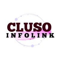 CLUSO INFOLINK PRIVATE LIMITED logo, CLUSO INFOLINK PRIVATE LIMITED contact details