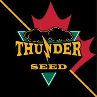 Thunder Seed logo, Thunder Seed contact details