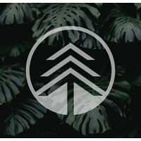 The Higher Path Collective logo, The Higher Path Collective contact details