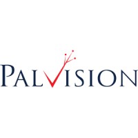 PalVision Corporation logo, PalVision Corporation contact details