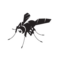 BlackFly TTL logo, BlackFly TTL contact details