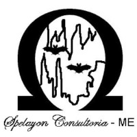 Spelayon Consultoria EPP logo, Spelayon Consultoria EPP contact details