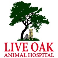 Live Oak Veterinary Clinic logo, Live Oak Veterinary Clinic contact details