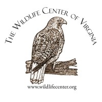 Wildlife Center Of Va logo, Wildlife Center Of Va contact details