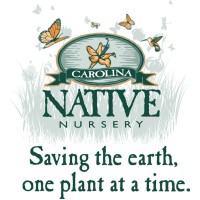 Carolina Native Nursery logo, Carolina Native Nursery contact details