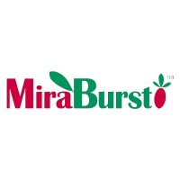 MiraBurst logo, MiraBurst contact details