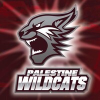 Palestine Independent School District logo, Palestine Independent School District contact details