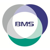 BMS Egypt logo, BMS Egypt contact details