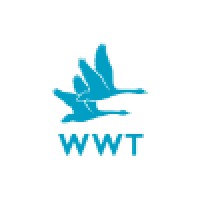 WWT (Wildfowl & Wetlands Trust) logo, WWT (Wildfowl & Wetlands Trust) contact details