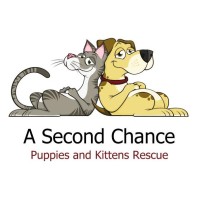 A SECOND CHANCE PUPPIES AND KITTENS RESCUE INC logo, A SECOND CHANCE PUPPIES AND KITTENS RESCUE INC contact details