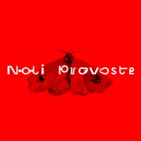 Noli Provoste logo, Noli Provoste contact details