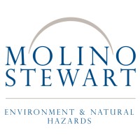 Molino Stewart logo, Molino Stewart contact details