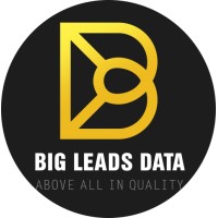 Big Leads Data logo, Big Leads Data contact details