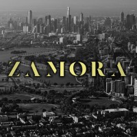 Zamora Real Estate logo, Zamora Real Estate contact details